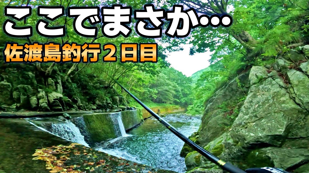 離島の渓流は河口から2～3km登っただけで…？佐渡島釣行2日目！