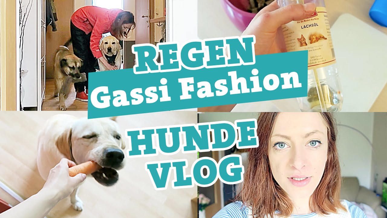 Hunde-Vlog | REGEN Gassi Fashion | Jimmys Di&auml;t | Vlog #02 | Hundeblog