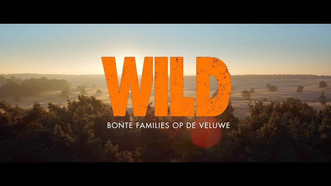 WILD - vanaf 1 februari 2018 in de bioscoop