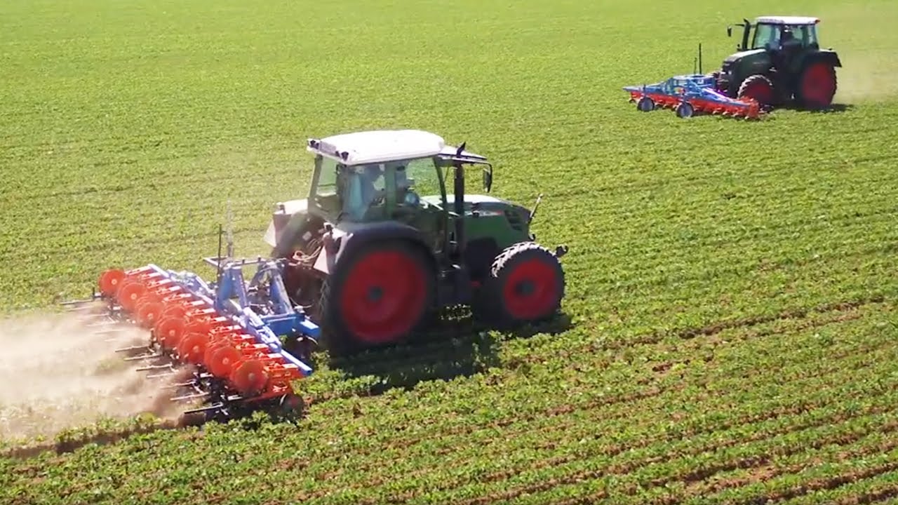 SCHMOTZER Hacktechnik - Ökolandbau im Weinanbaugebiet