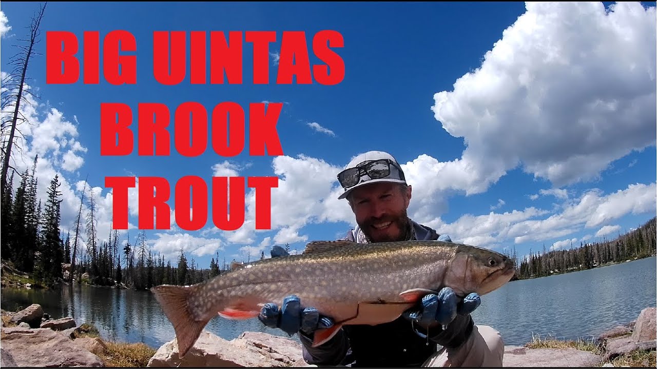 High Uintas backpacking for BIG! brook trout