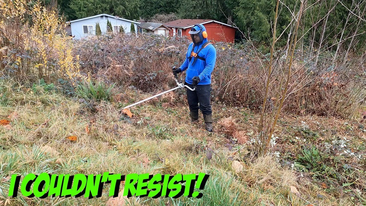 FREE Backyard MAKEOVER - Blackberry Mulching! | Stihl FS-131 Brush Cutter #Satisfying