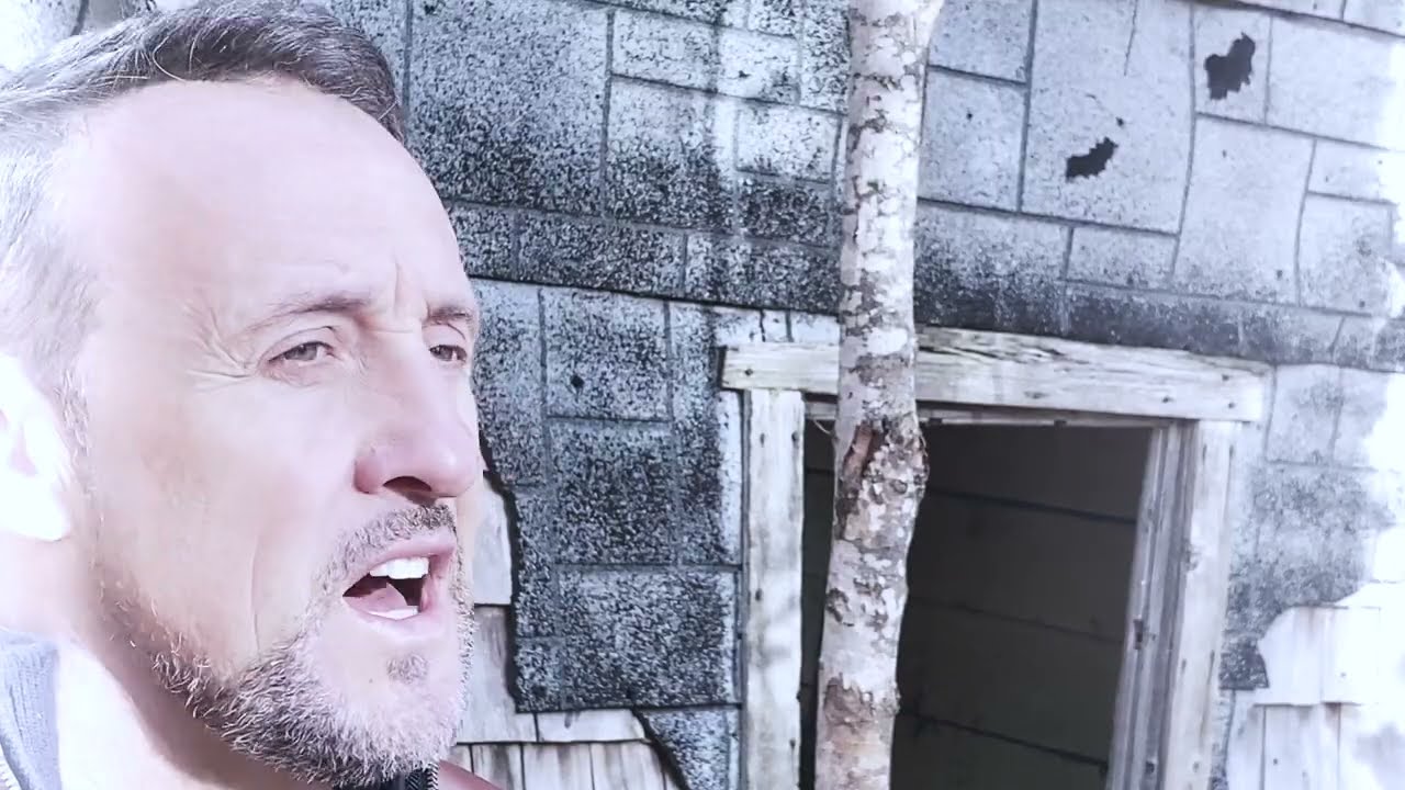 Elle s'en va (René Lajoie)