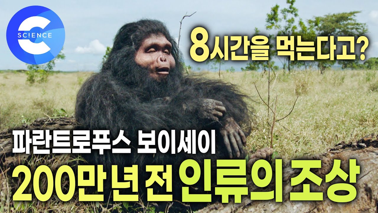 오스트랄로 피테쿠스 외에 이런 인류가 있었어? | 진화 | 사라진 인류