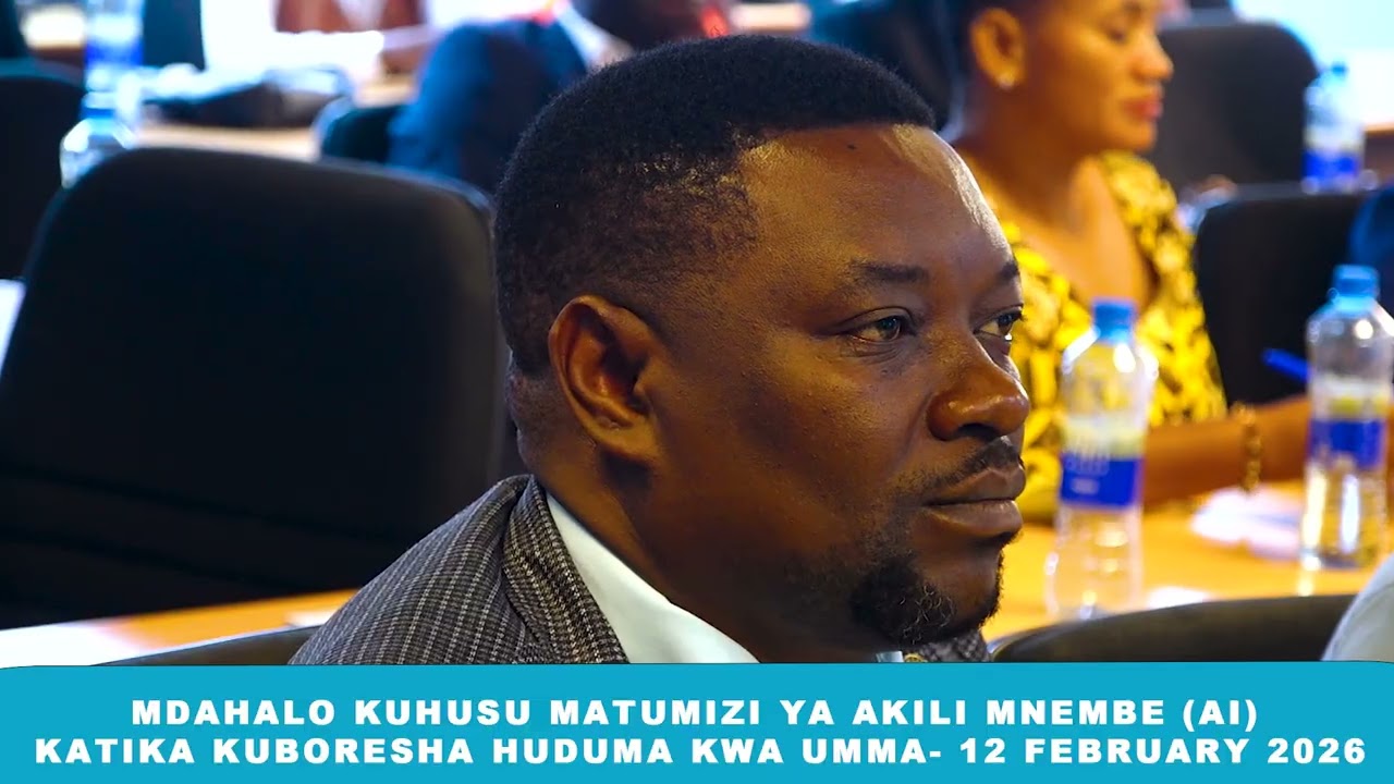 MDAHALO WA KITAALAMU KUHUSU MATUMIZI YA AI KATIKA SEKTA YA UMMA