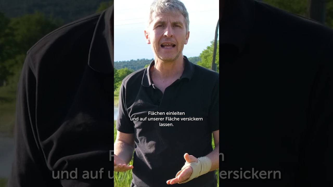 Wasserretention und Biodiversit&auml;t: Wie die Teichlandschaft auf Ch&acirc;teau Duvivier dem Weinberg hilft