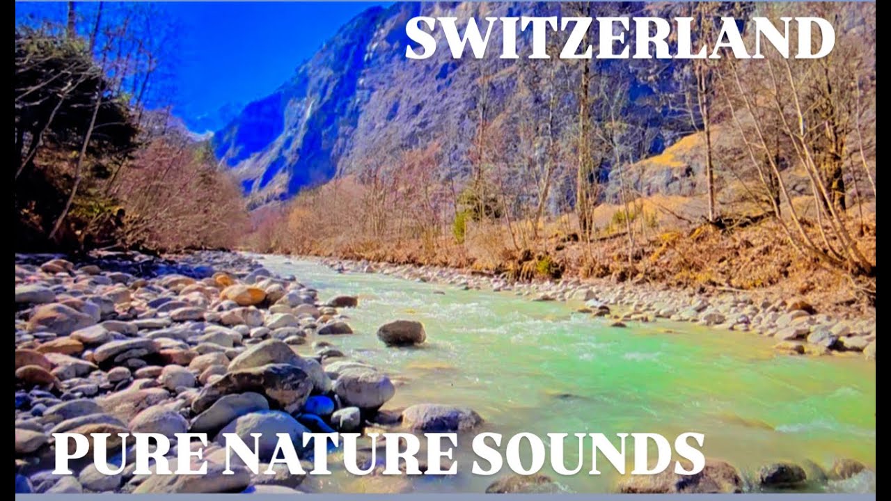 🔴LIVE Pure Alpine River Sounds | Amzing Nature for Focus, Meditation, and Calm I ASMR