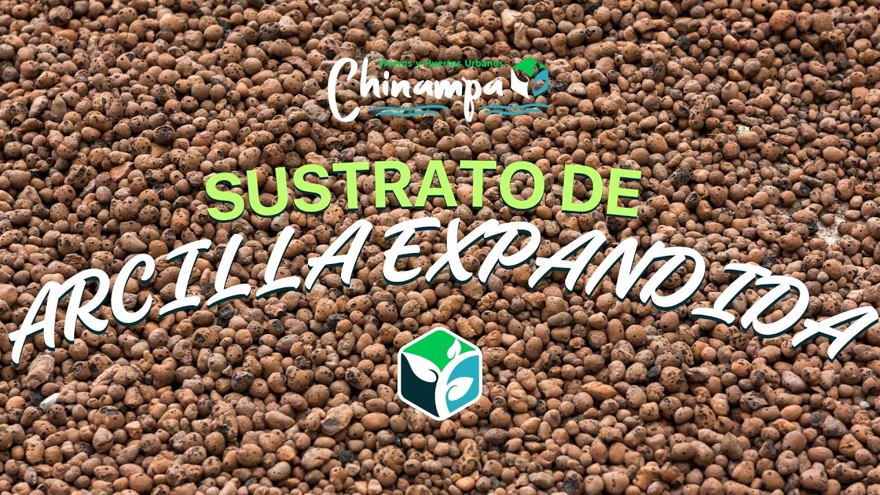 Arcilla Expandida: ¡El escudo ligero para tus raíces! 🟠✨