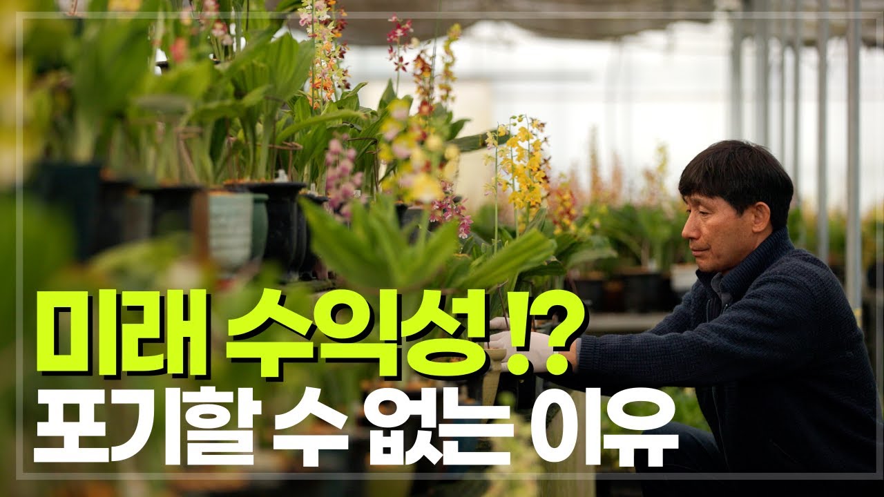 새우란, 지금은 몰라도 미래의 수익작물로 떠오를까?
