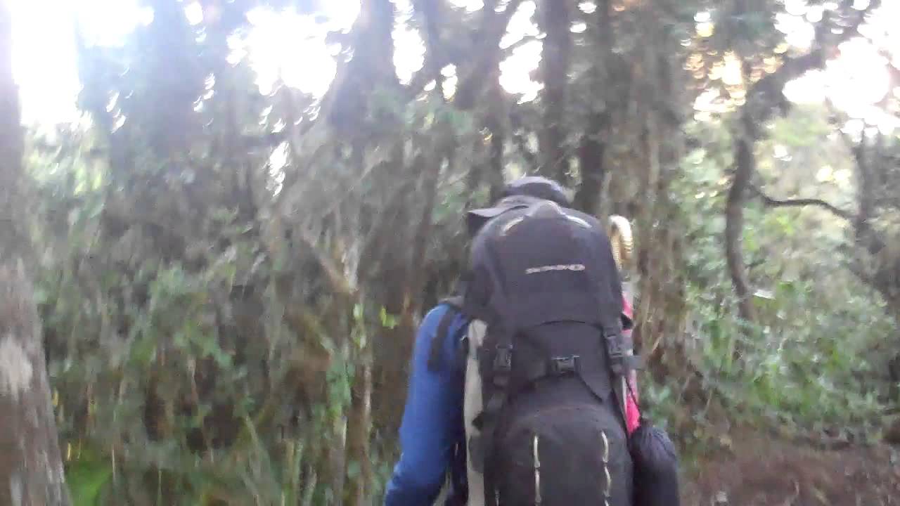 The descent to Mweka Gate