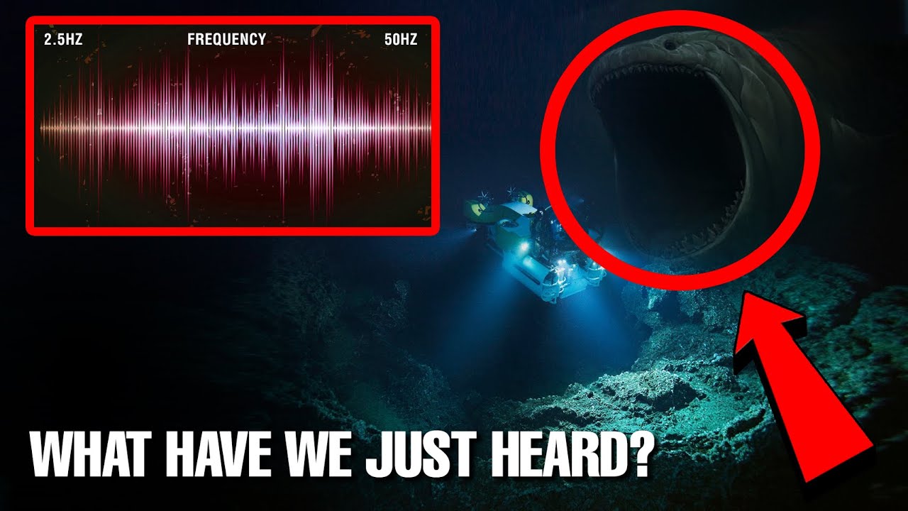 10 Creepy Underwater Sounds