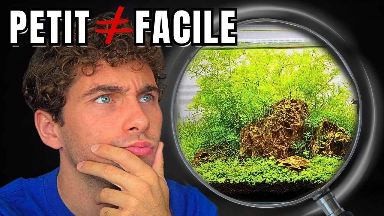Ce qu’on ne te dit jamais sur les nano aquariums