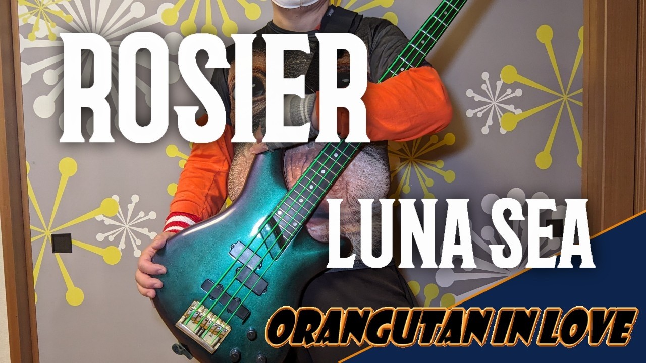 【ベース弾いてみた】ROSIER / LUNA SEA [Bass Cover]