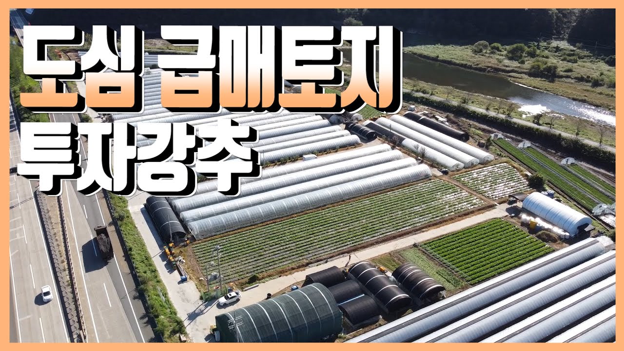 1987 울산시 울주군 범서읍 사연리, 도심 급매토지,투자강추