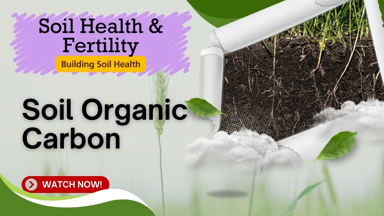 Soil Organic Carbon: Key to Soil Health and Sustainability | Spring Scientific