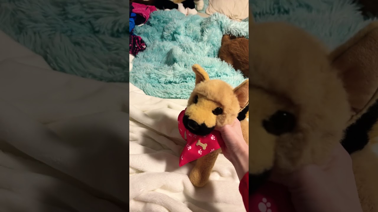 I accidentally got two weird looking things in this video&hellip;. #essa #douglasdogs