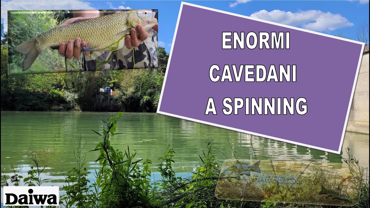 CAVEDANI MARCHIGIANI A SPINNING - Fiume Tronto 