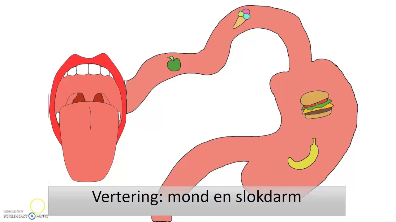 Mond en slokdarm
