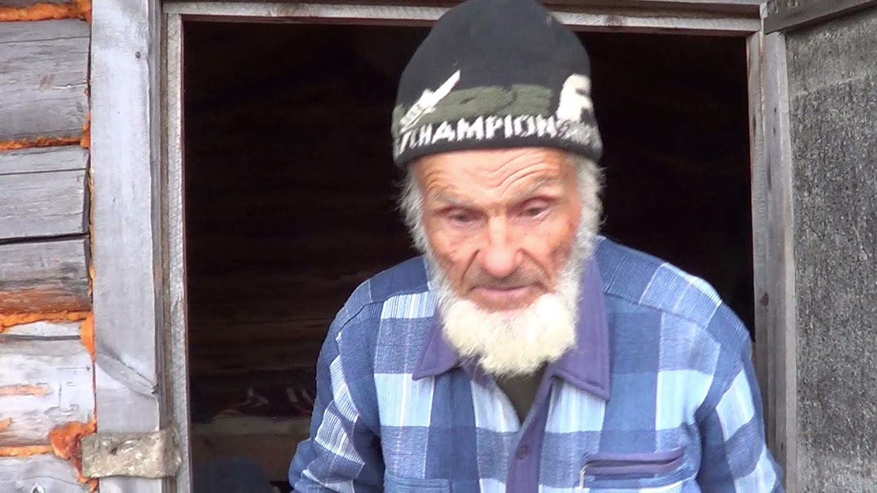Зимовье Отчего сдох медведь, почему засохла тайга, обед