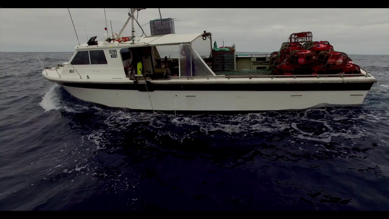 The Fish Factory - Southern Rock Lobster Fishing