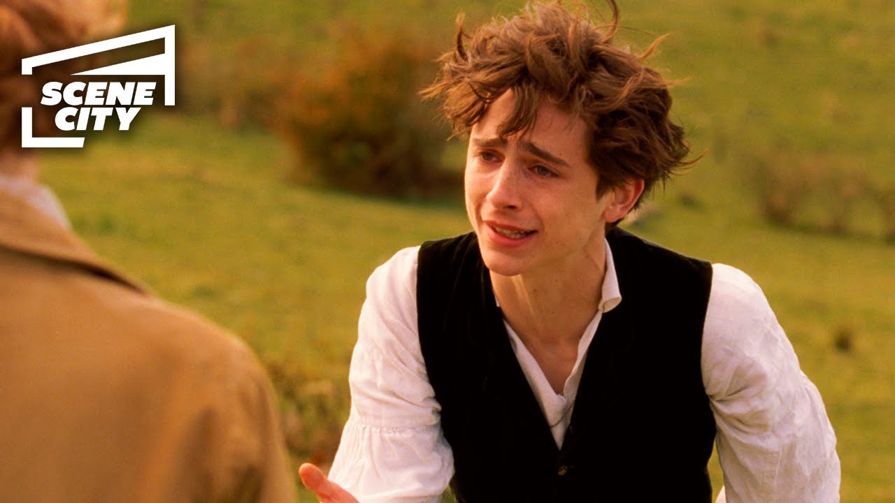 Laurie Declares His Love To Jo | Little Women (Timoth&eacute;e Chalamet, Saoirse Ronan)