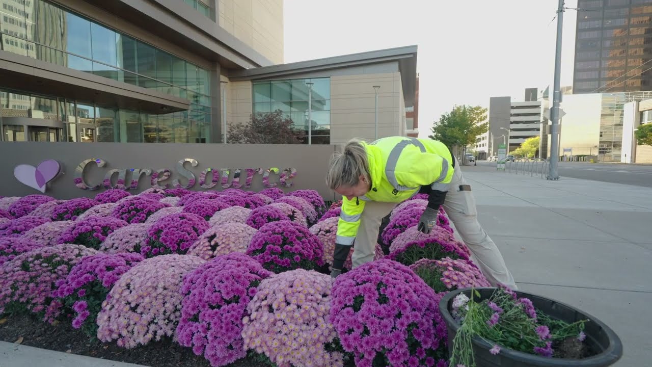 Landscape Maintenance by Grunder Landscaping Co.