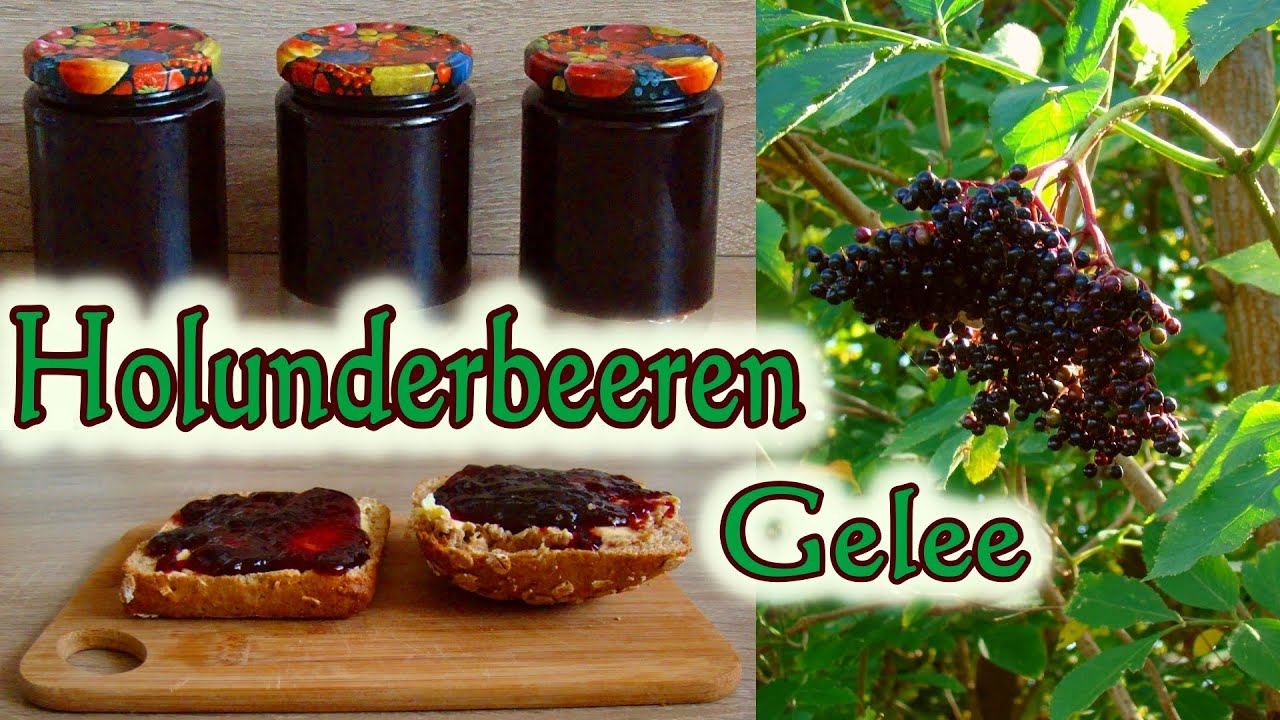 Holunderbeerengelee | Holunderbeerengelee Rezept | Holunder Gelee |