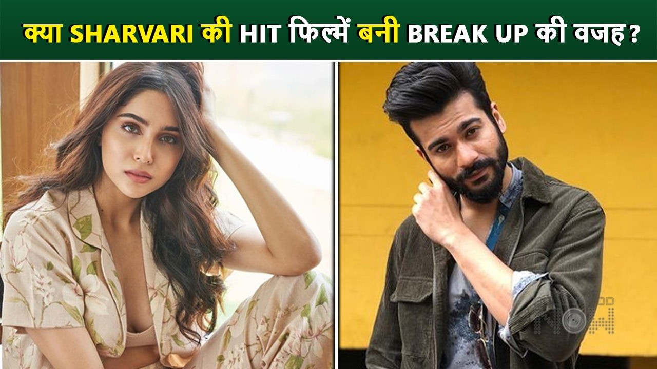 Sunny Kaushal & Sharvari Wagh Break Up Over Ego Clash? Truth Revealed!
