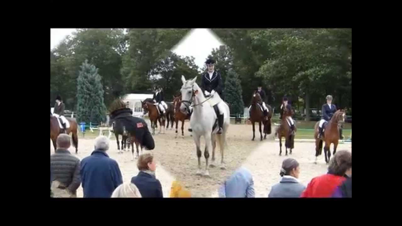 Bundeschampionat des Deutschen Freizeitpferdes - Verdiana 2013❤