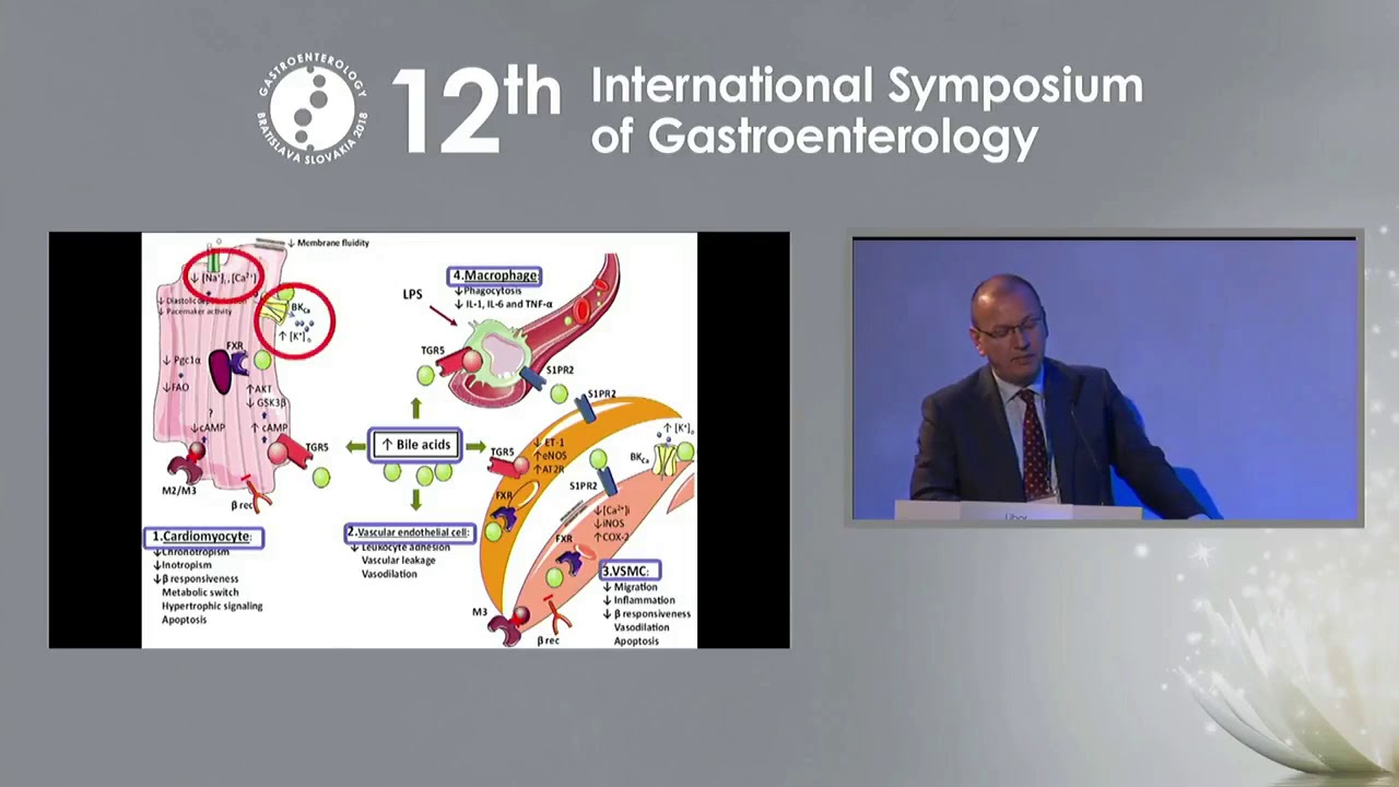 Therapy of NAFLD 2: Pharmacotherapy - metabolic role of UDCA and other bile acids (Libor Vitek)