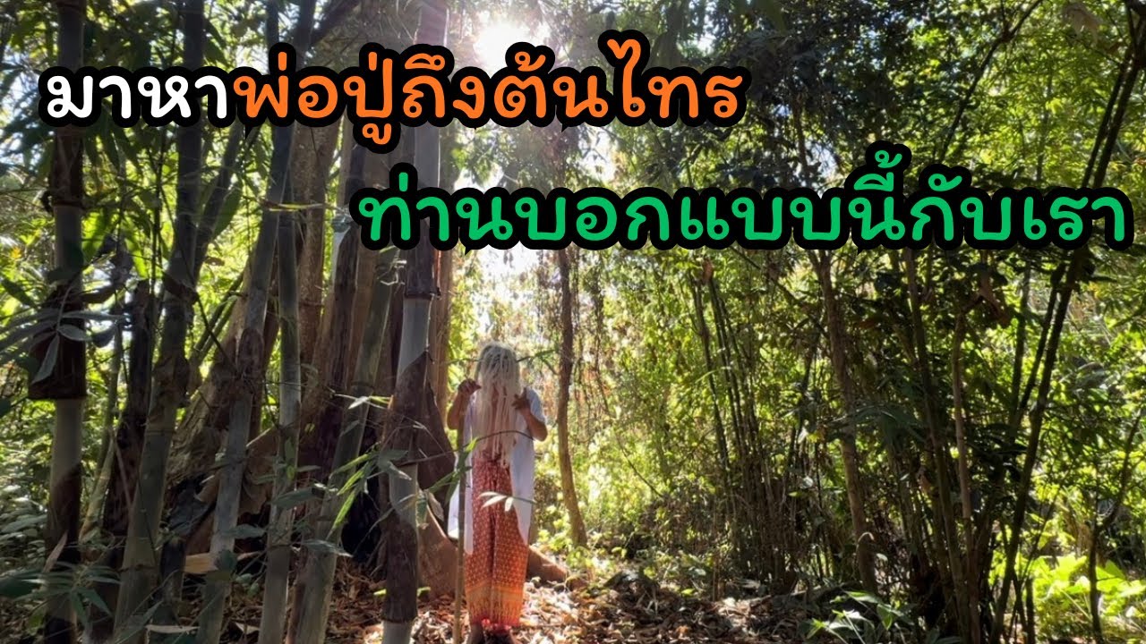 เข้ามากราบไหว้พ่อปู่ต้นไทรถึงที่!!!พ่อปู่บอกให้เราทำสิ่งนี้?