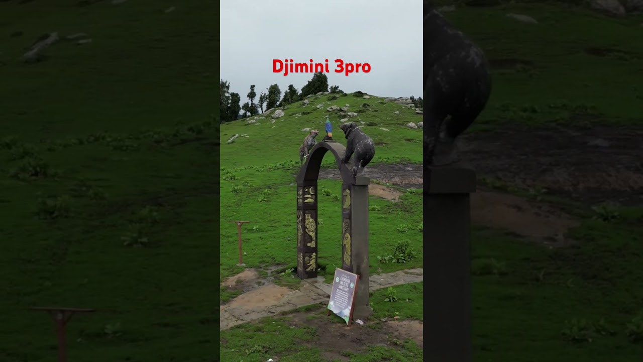 Djimini 3pro #djidrone #Churdhar#track#shots