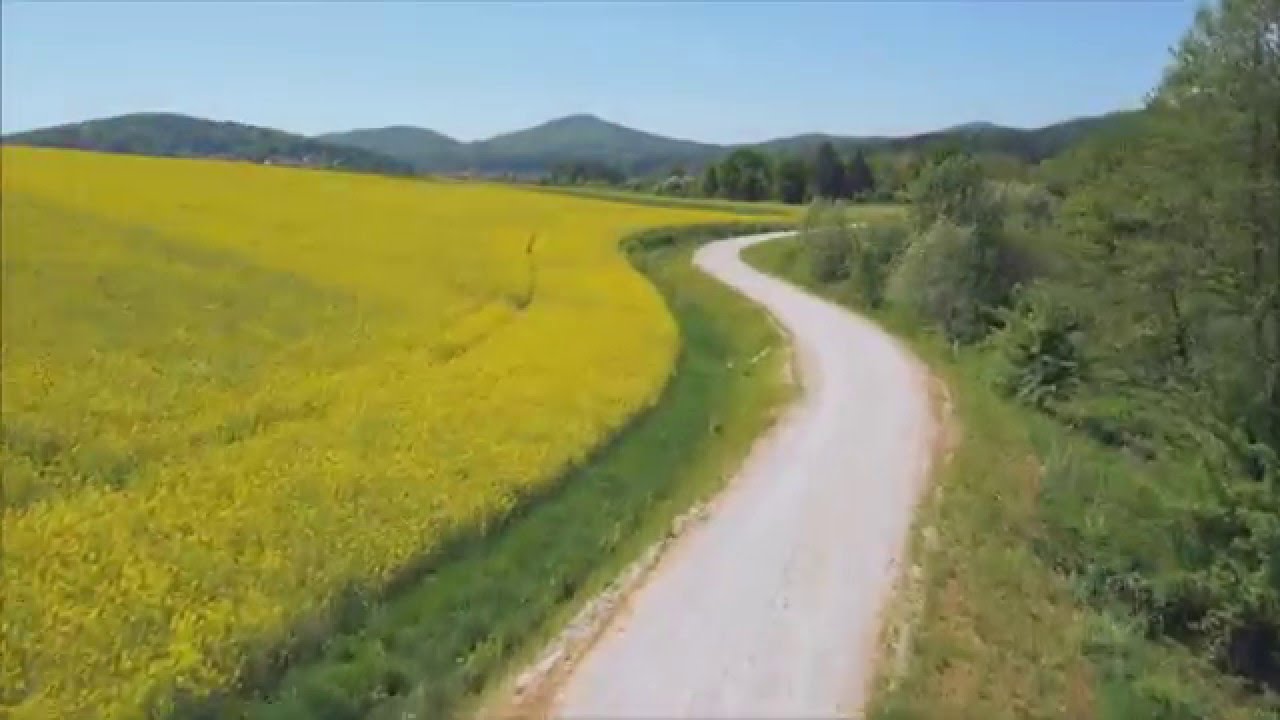 El camino de la vida - Palabras de Inspiración