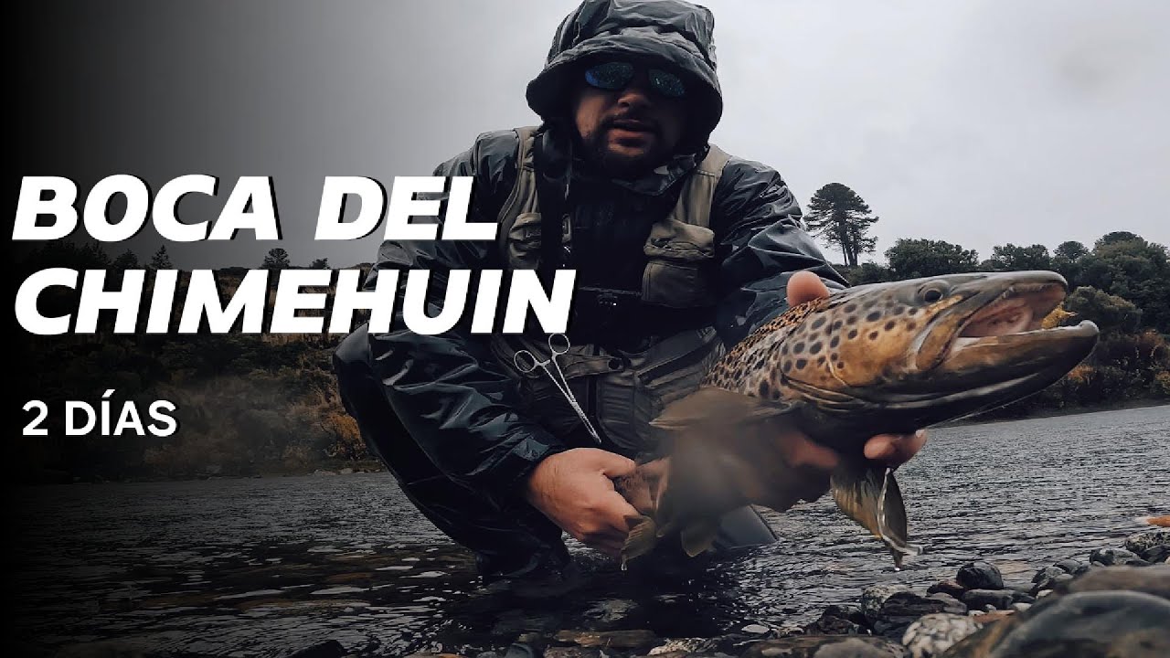 PESCANDO LA BOCA DEL CHIMEHUIN. JUNIN DE LOS ANDES. 2 DIAS DE PESCA Y CAMPAMENTO DE POR MEDIO