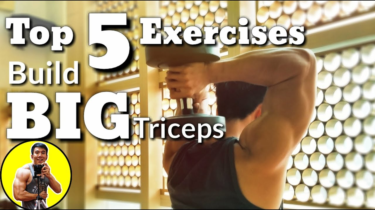Top 5 Exercises Build BIG TRICEPS | Top 5 Bài Tập Xây Dựng Cơ Tay Sau Tốt Nhất | Ryan Long Fitness