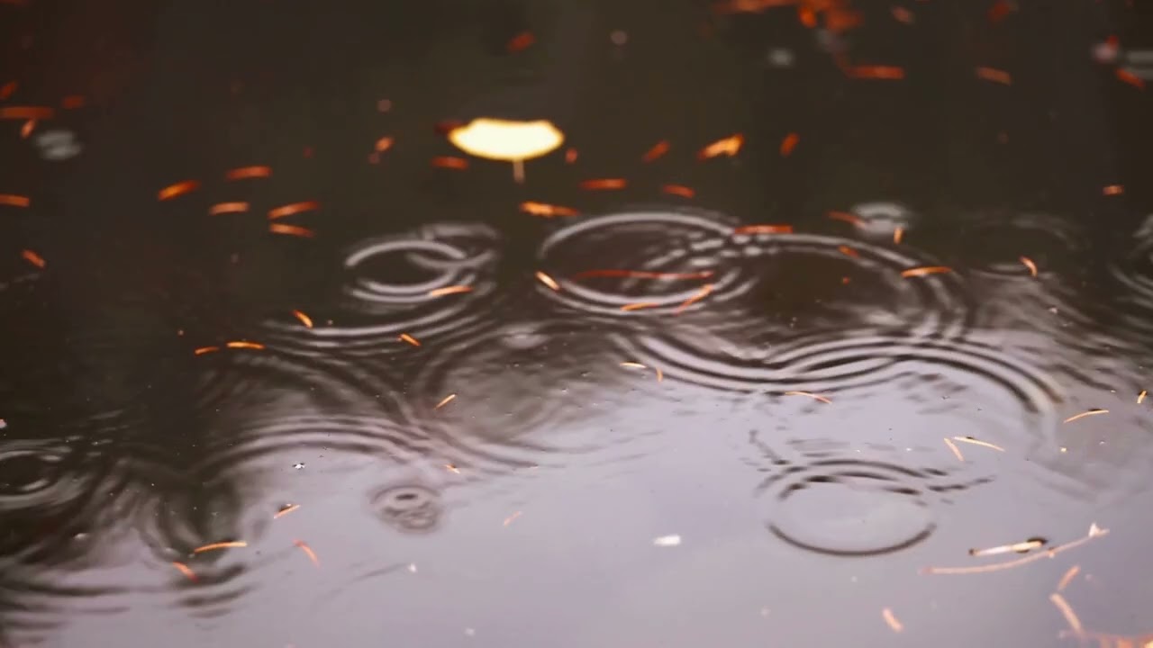 Focus and Relax Music with Rain