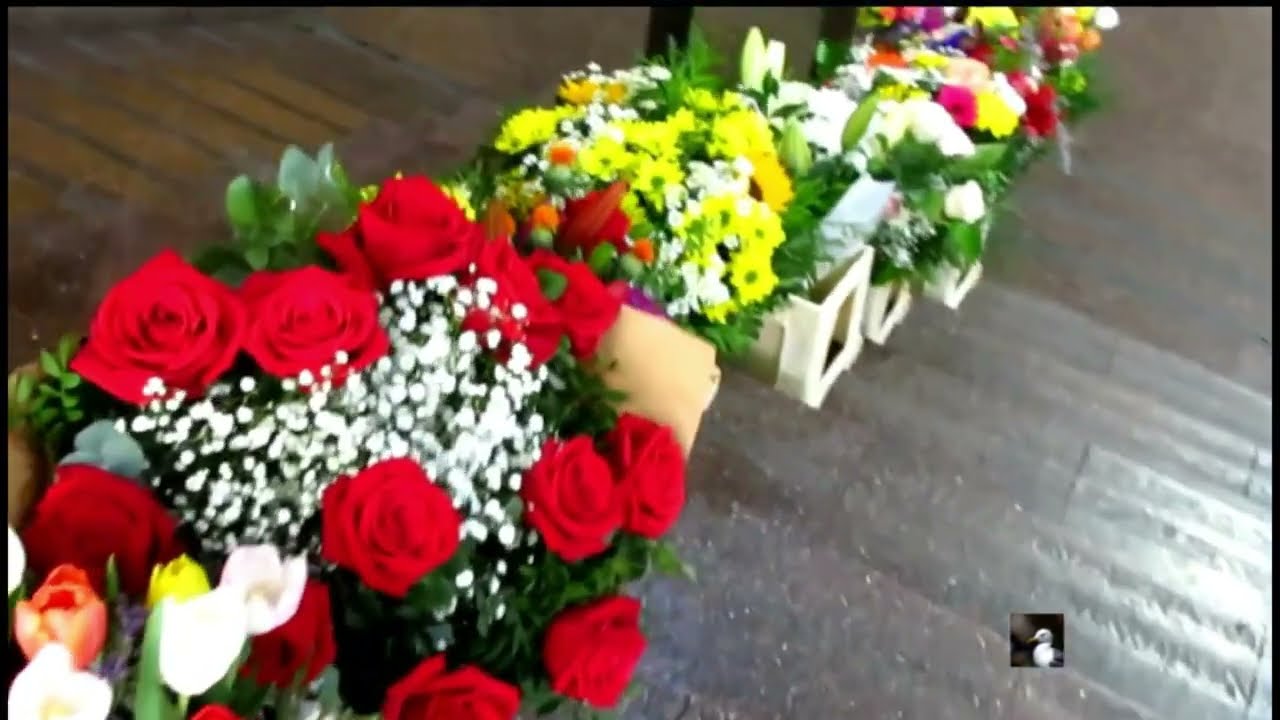 FLORES Y PLANTAS  EN  BARCELONA playerbcn1