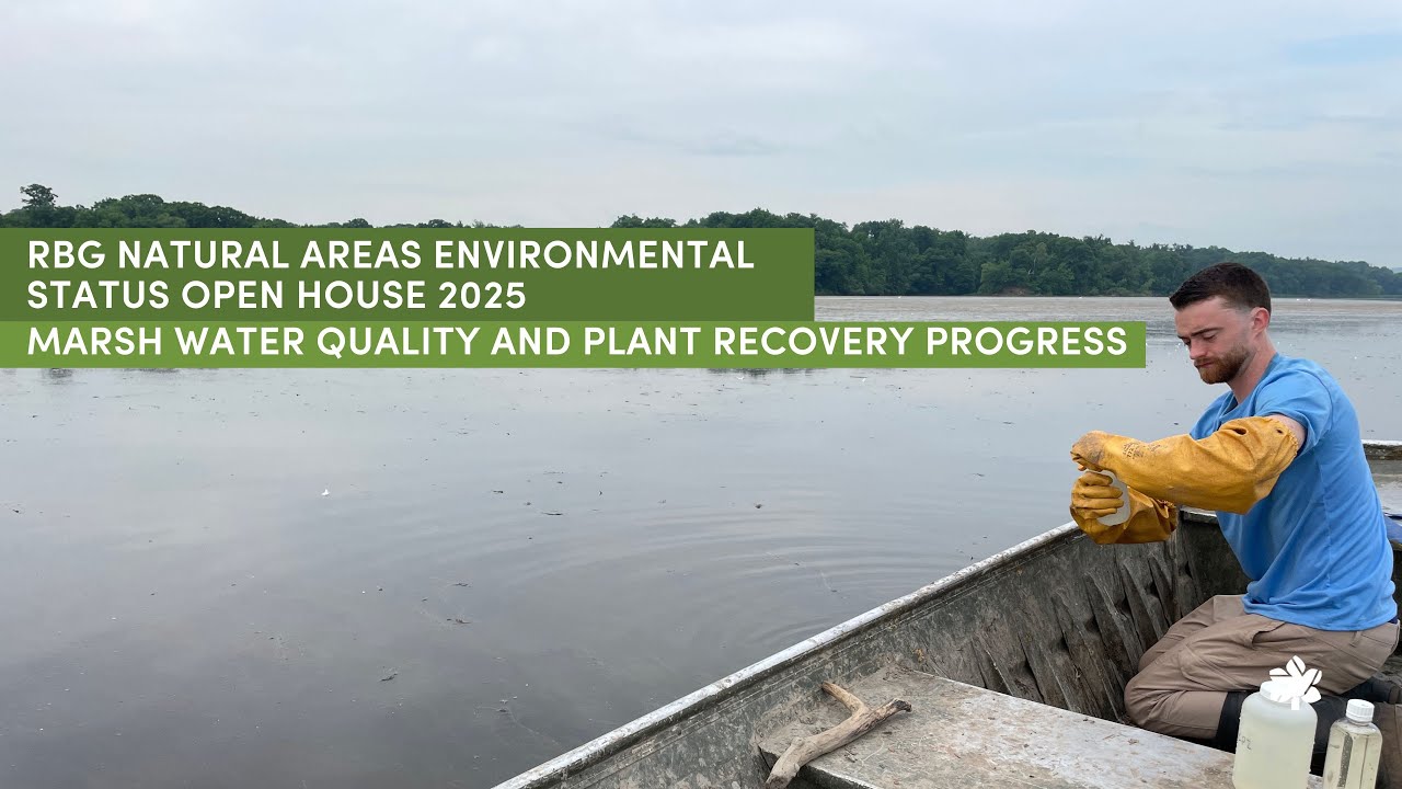 6: Marsh Water Quality and Plant Recovery Progress