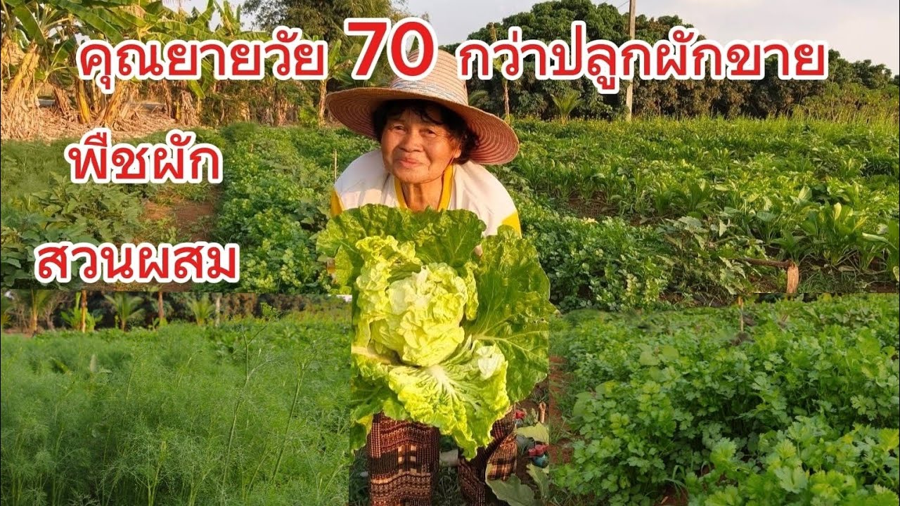พืชผักสวนผสม ปลูกทุกอย่างที่ขายได้