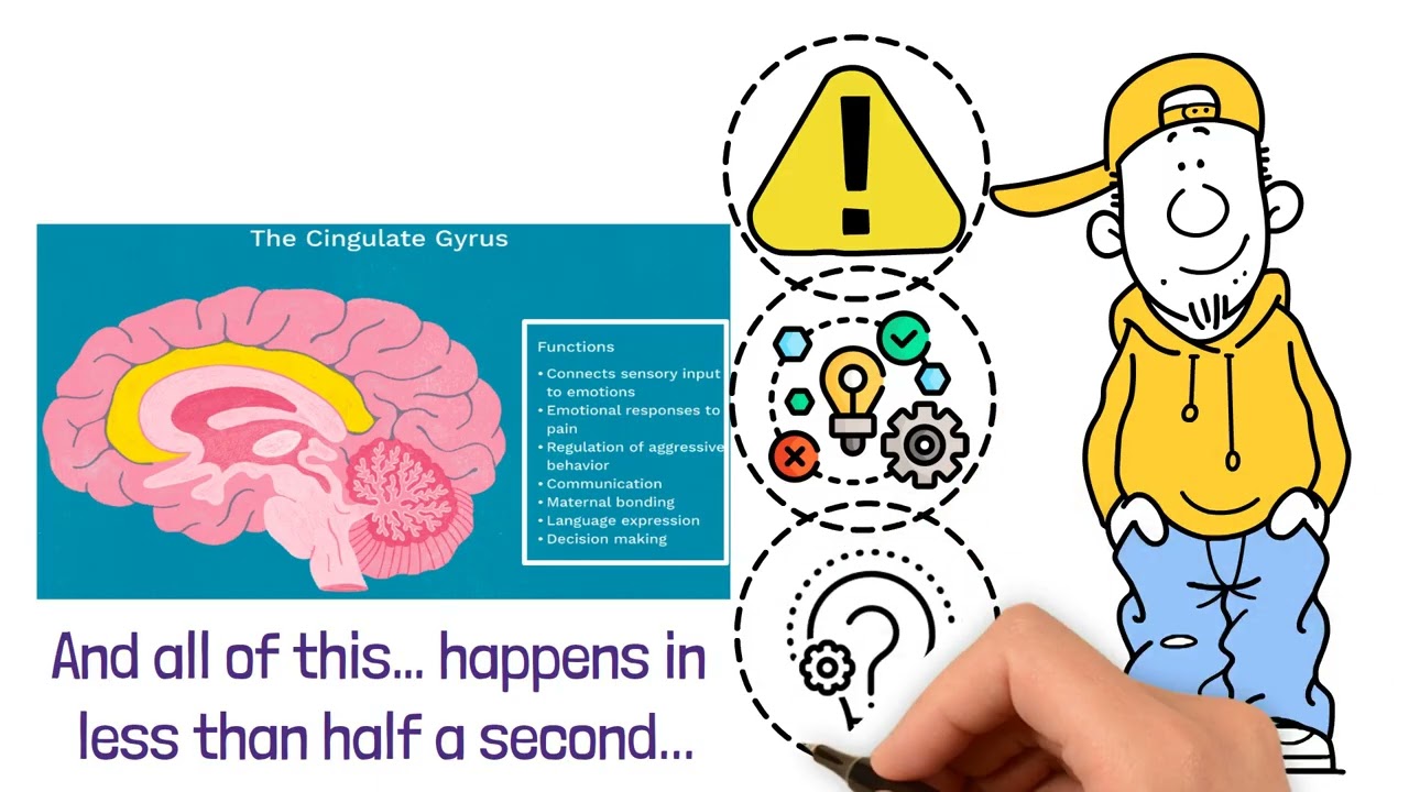 Why We Get Angry | The Brain&rsquo;s Ancient Survival System Explained