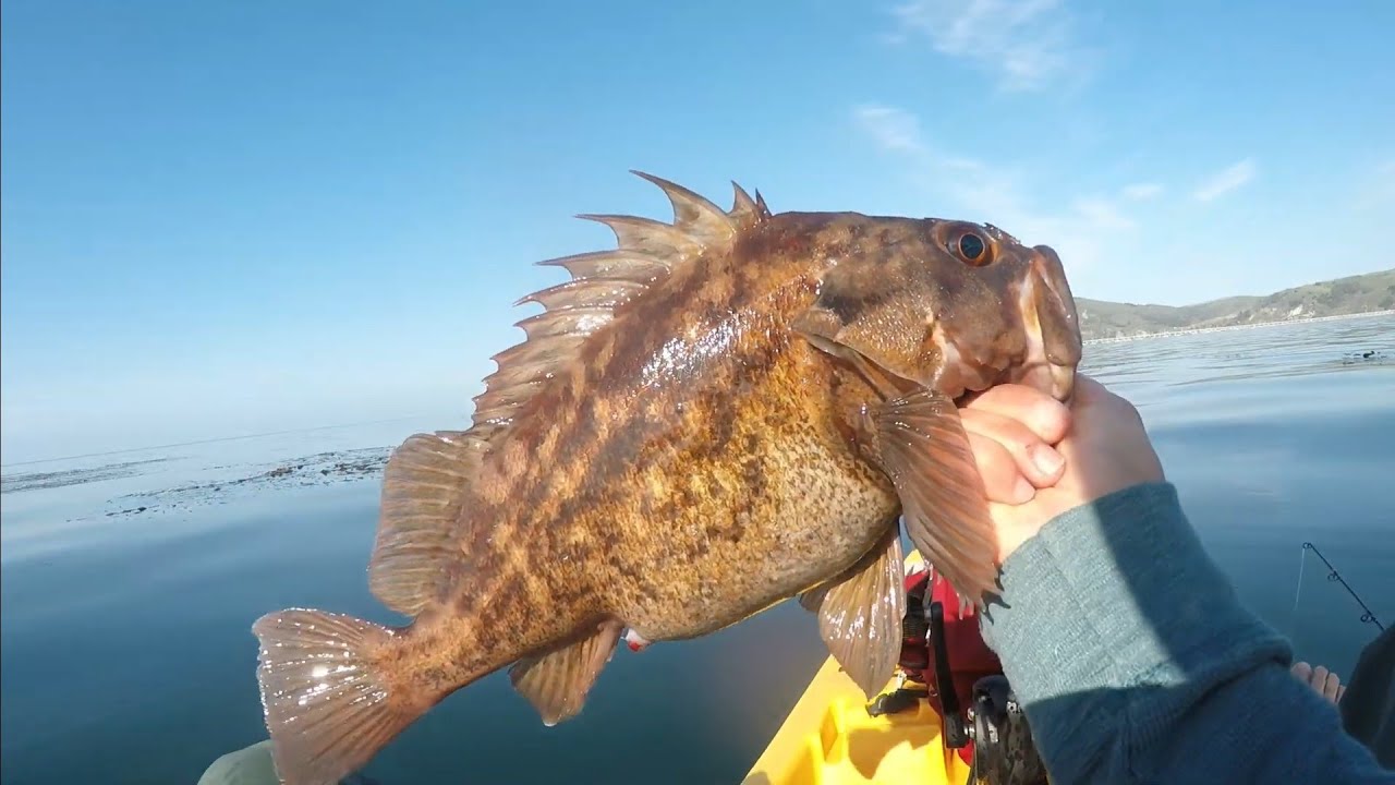 Fishing Avila Beach, Ca for Rockfish!