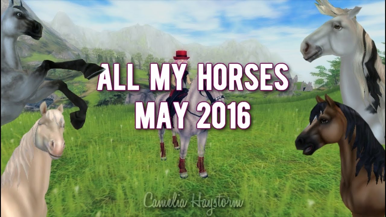 All my Horses (Sso) 2016 || 300+ ❤