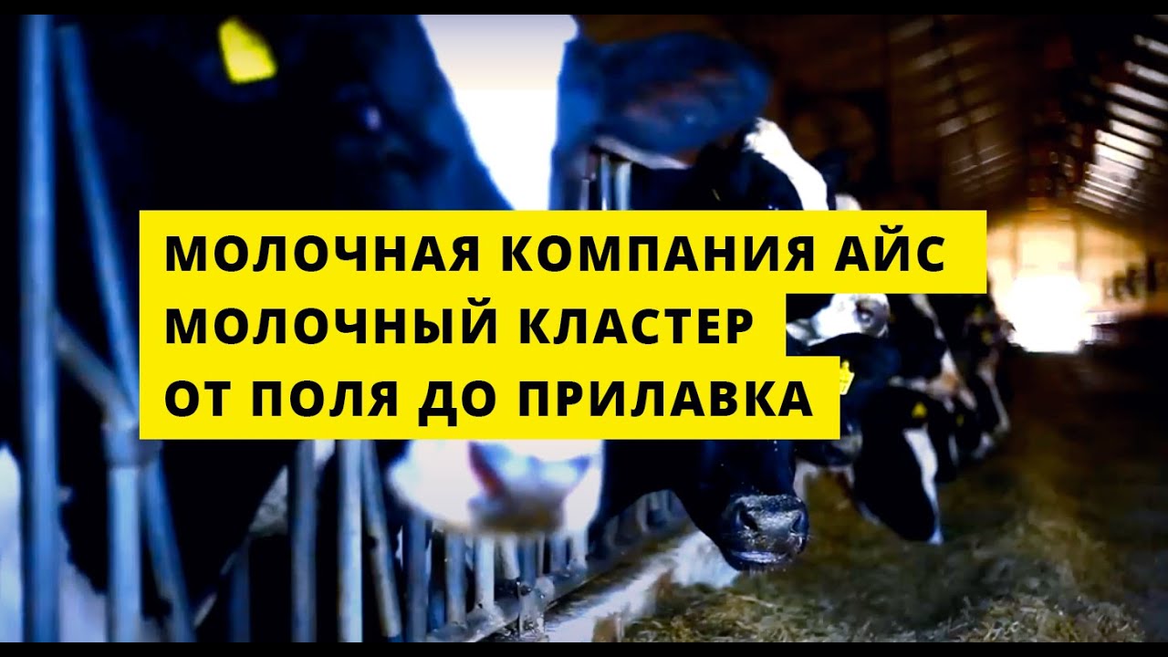 Icecompany - Свежее молоко найти легко!