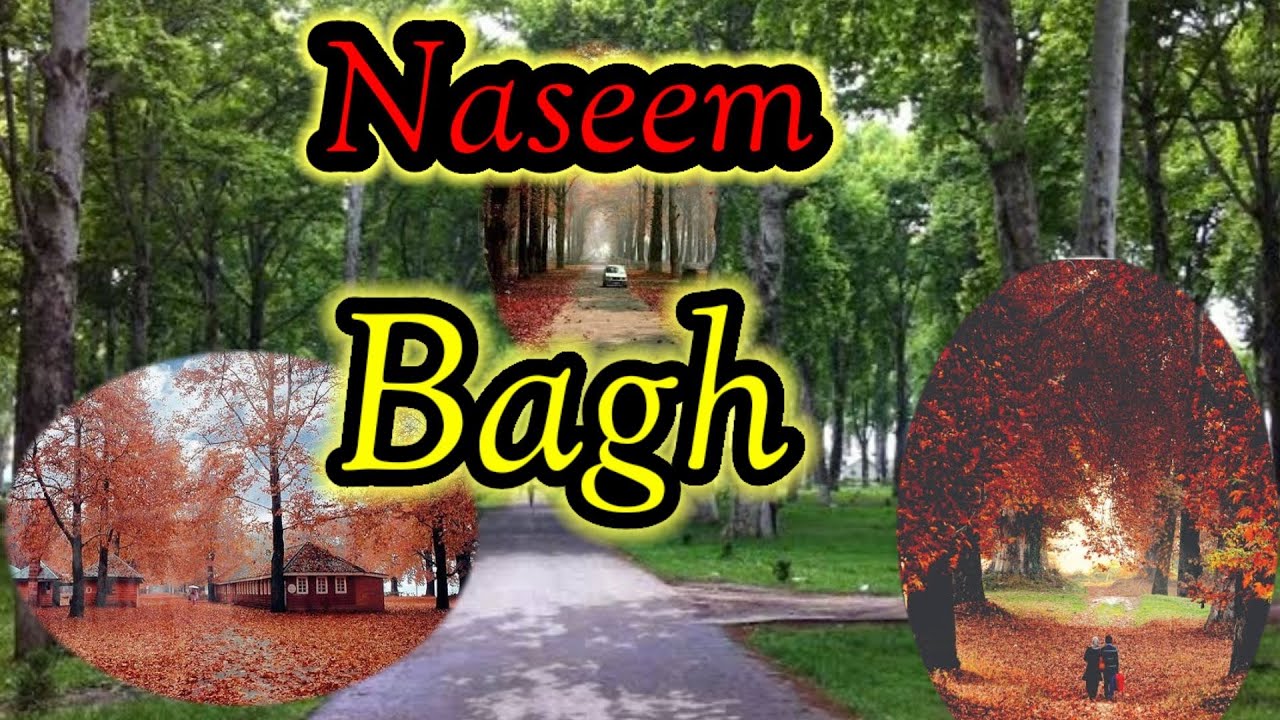 Naseem Bagh|| Mughal Garden || kashmir University||  Kashmir the Parasise on Earth||The mauj kashmir