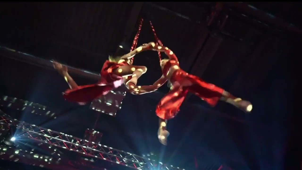 Aerial Straps Duo