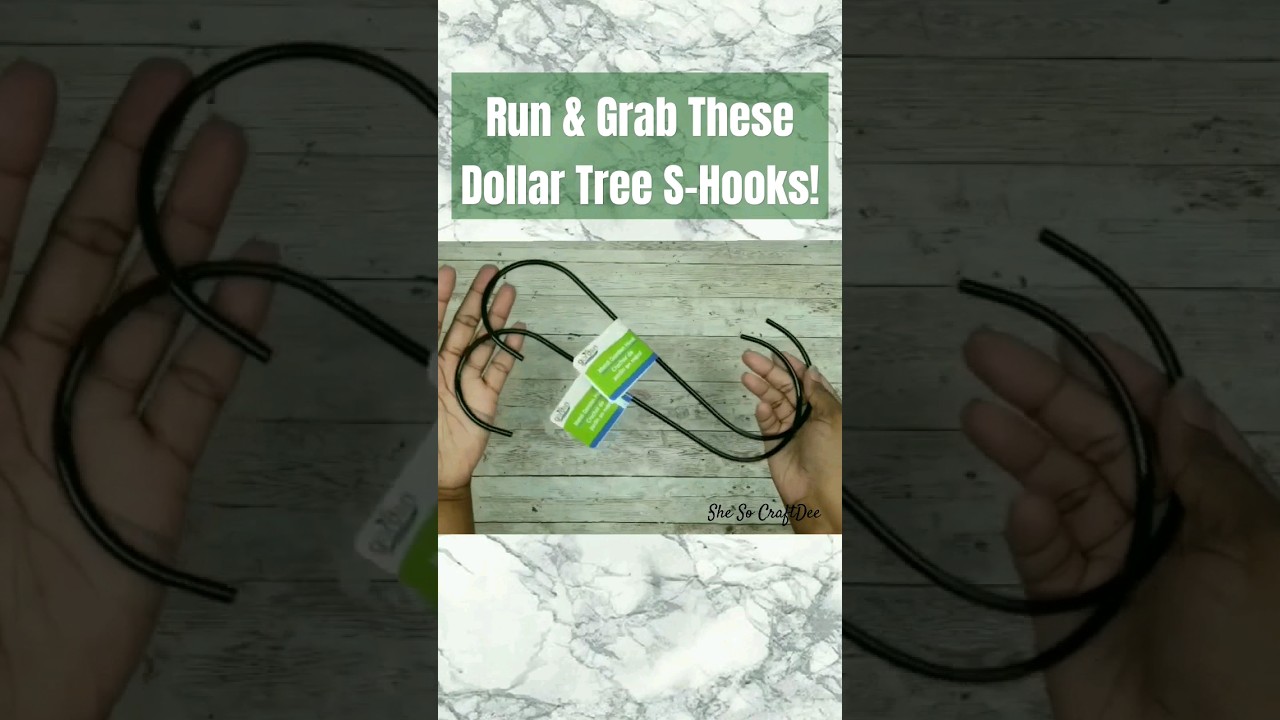 🔥 Grab Some Dollar Tree S-Hooks for This DIY Idea #dollartreediy #shesocraftdee #shorts