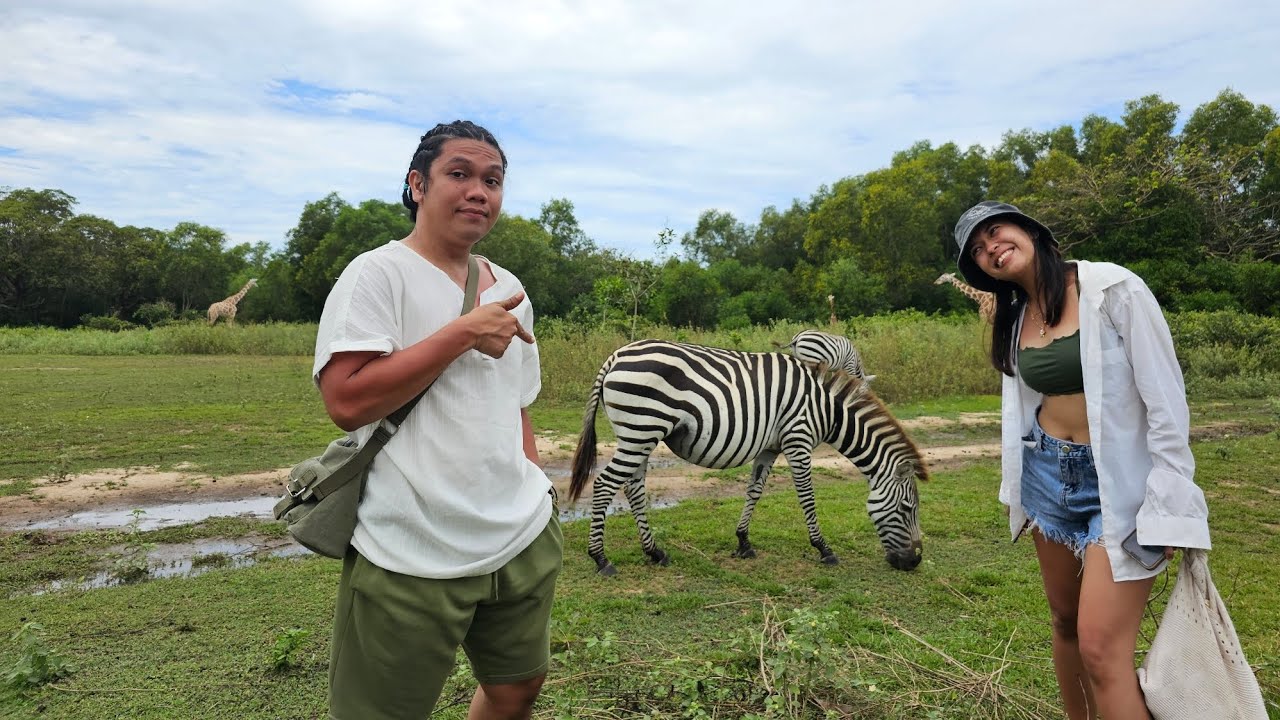 CORON BDAY D3