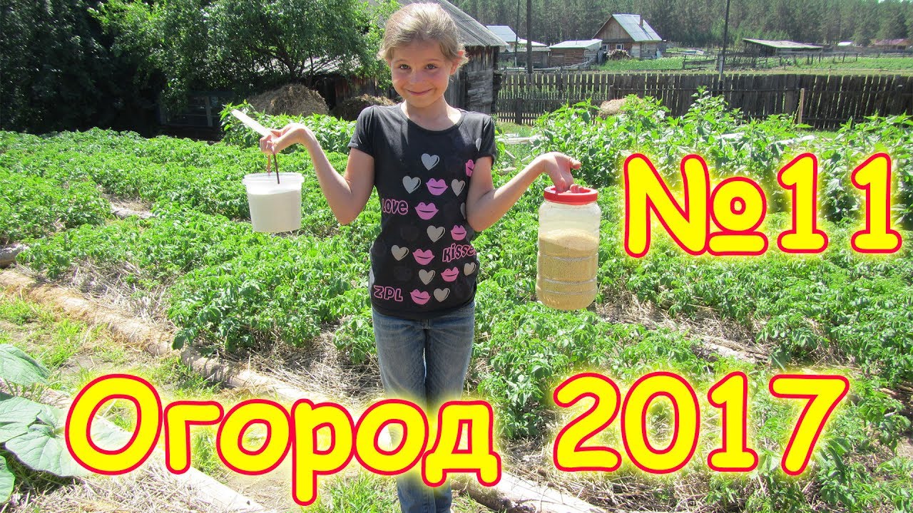 Огород 2017г. - удобряем, борьба с муравьями, подвязываем, сажаем. (07.17г.) Семья Бровченко.