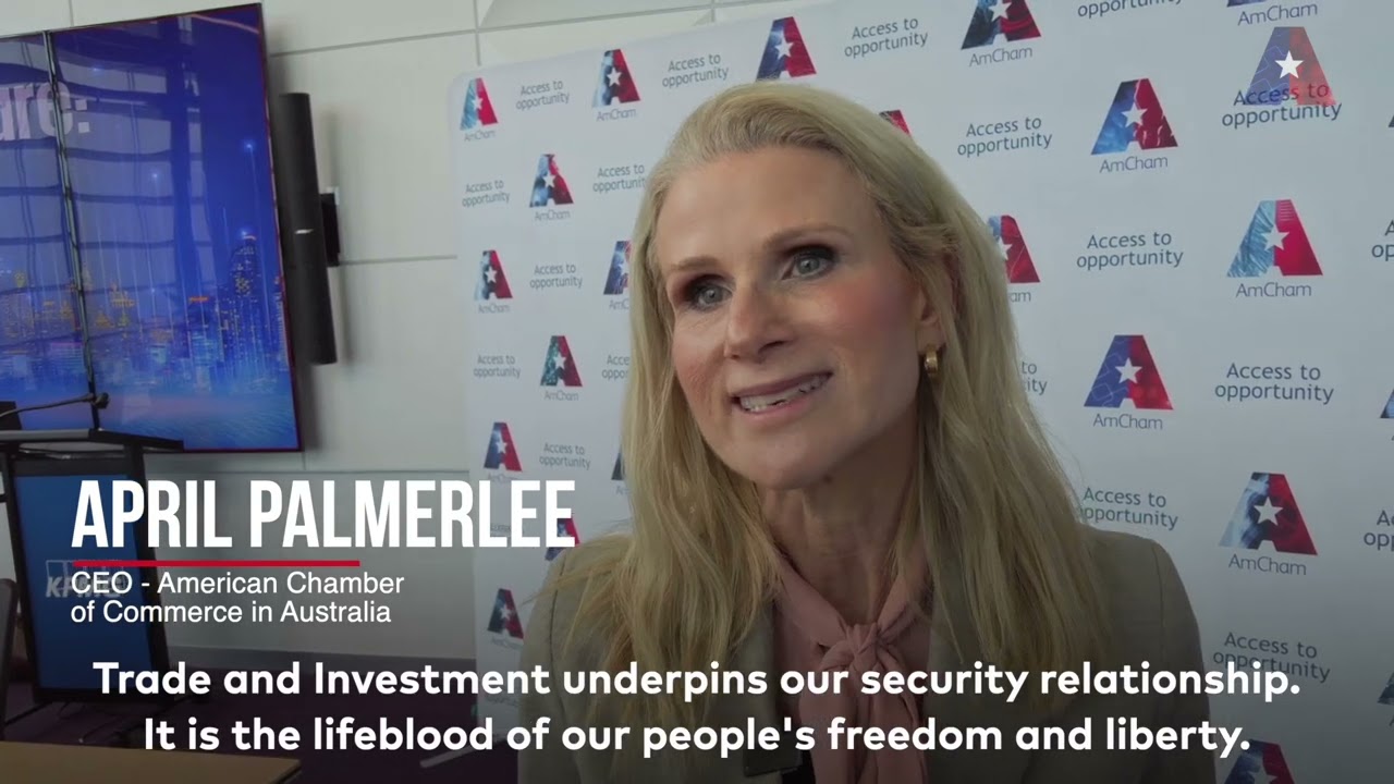 What is AmCham?