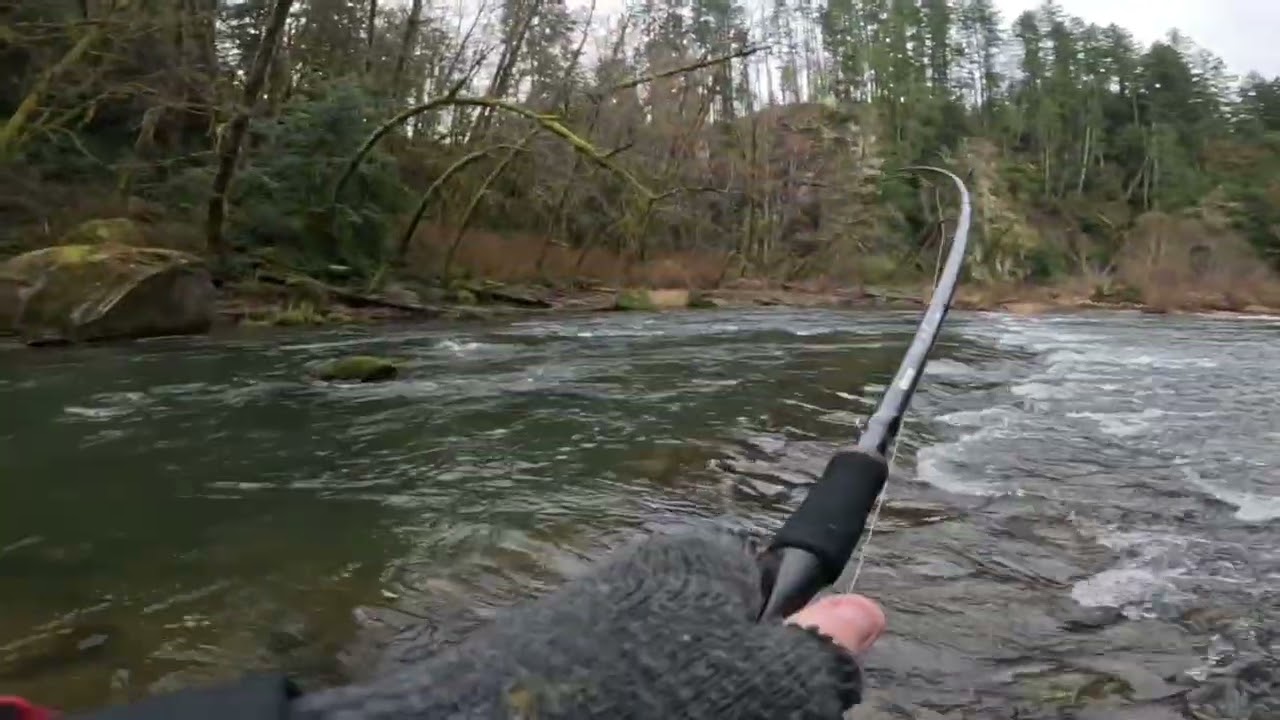 Catching steelhead with a worm. 